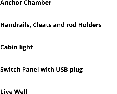 Anchor Chamber  Swivelling Pilot Chair + 2 folding chairs Handrails, Cleats and rod Holders Navigation Lights Cabin light Manual & Electric Bilge Pump Switch Panel with USB plug Bow Roller Live Well